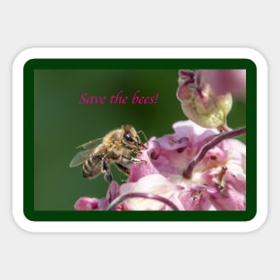 Bee Sticker